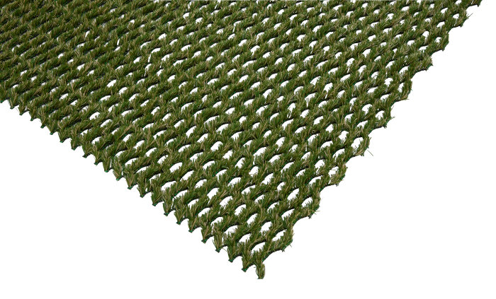 Gress hybrid 1 x 1 meter - Garden